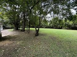 Blackmore Drive (D21), Detached #559664561